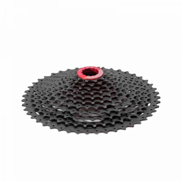 Pacco Pignoni Box Two 11s