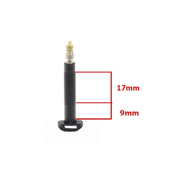 Paar Carbon Tubeless Presta-Ventile – 35 mm