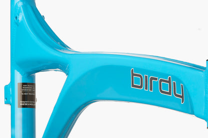 Riese &amp; Muller Birdy Touring