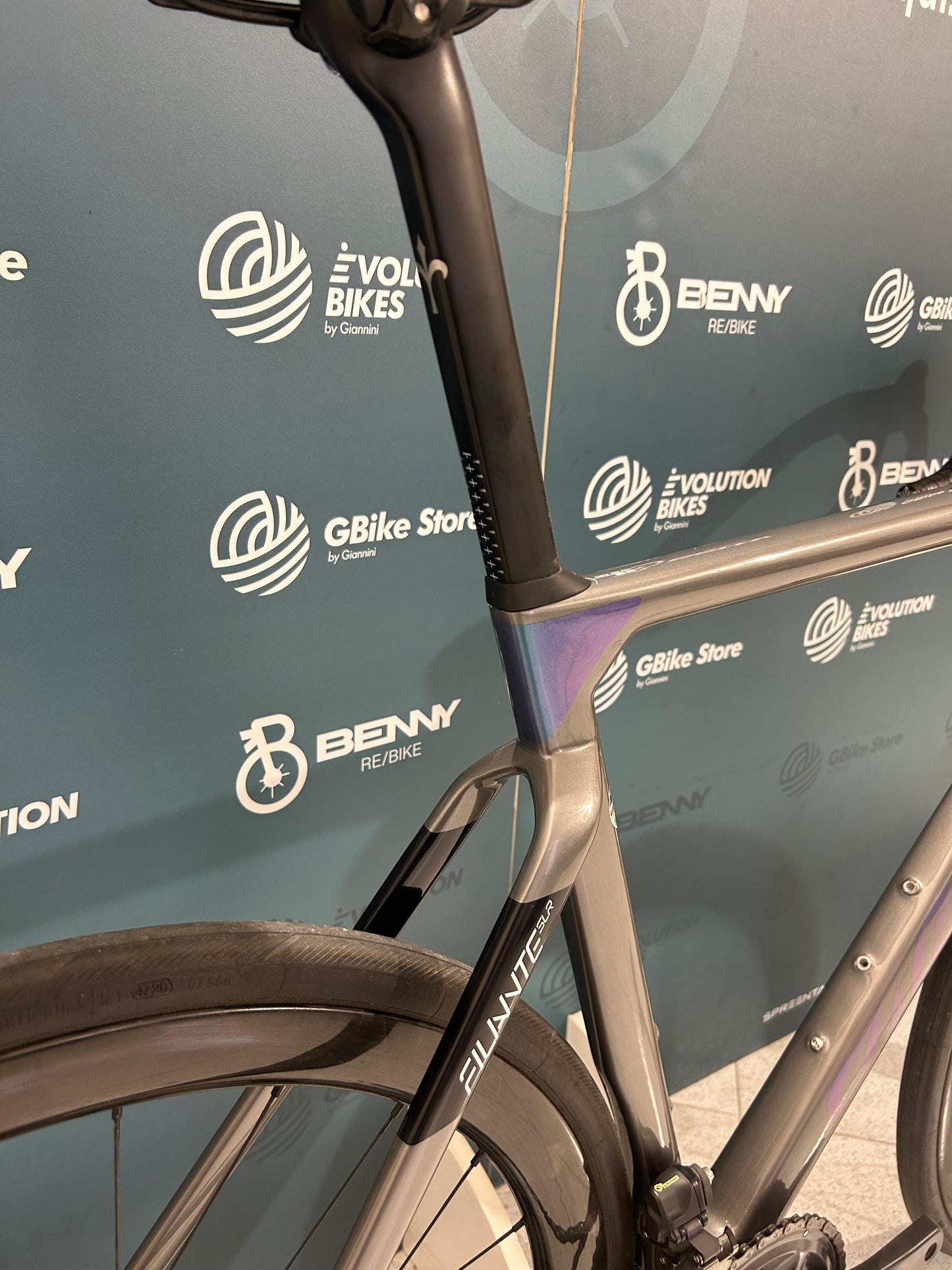 Wilier Optimierte SLR-Größe XL