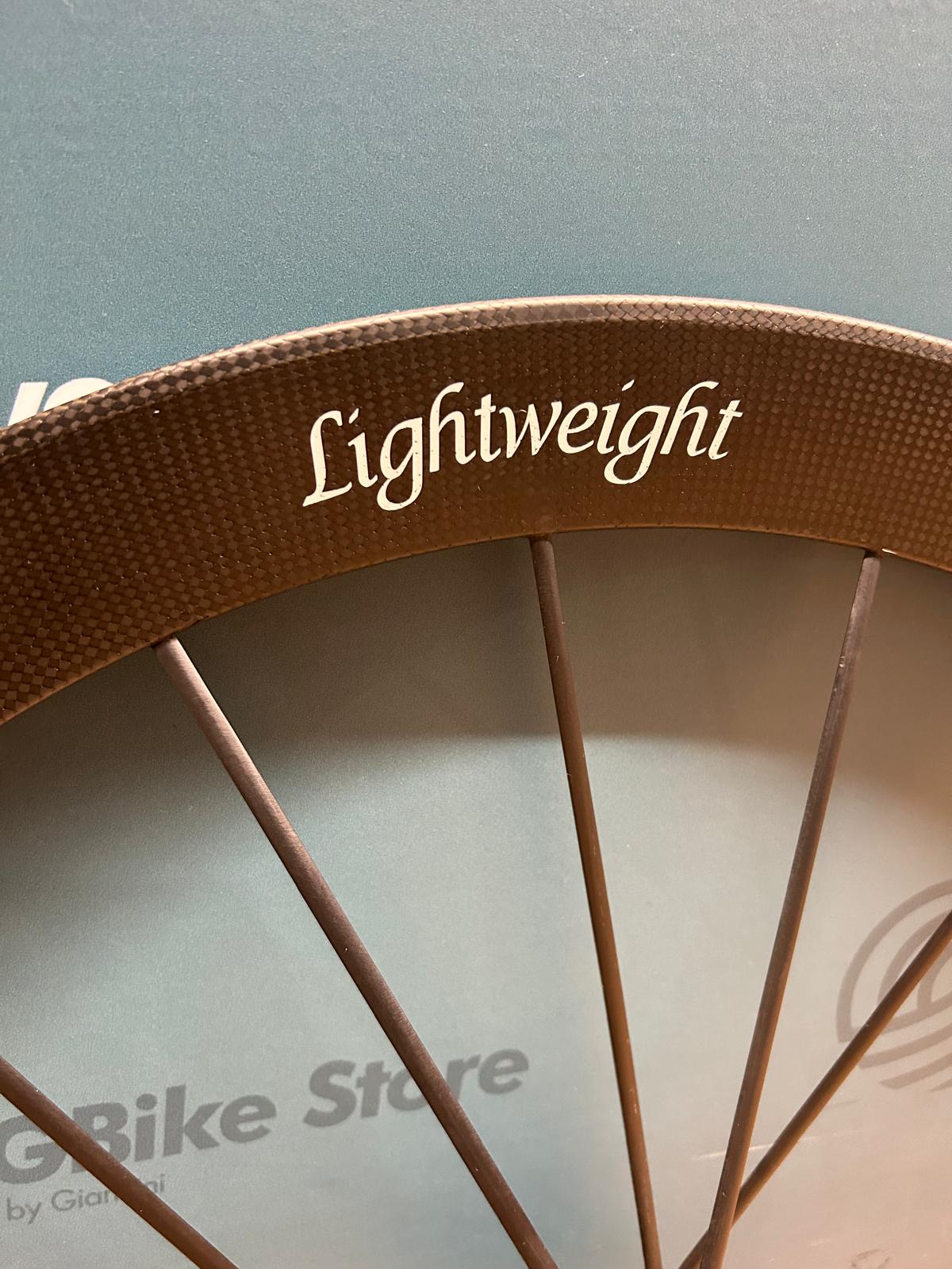 Disco ligero Meilenstein EVO - Usado