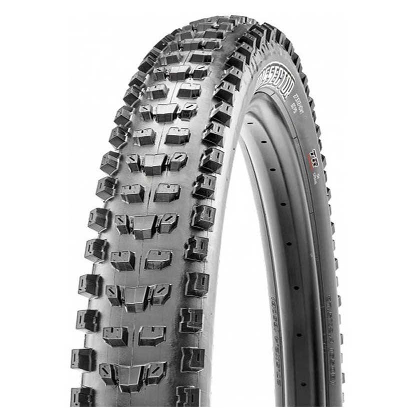 Maxxis Trunt Exo Gotowy