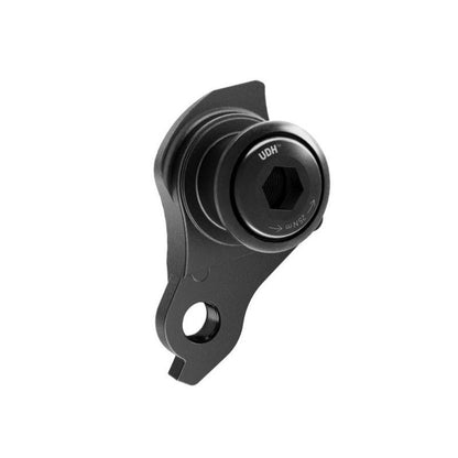 Sram ABP UDH DS 20 Ausfallende